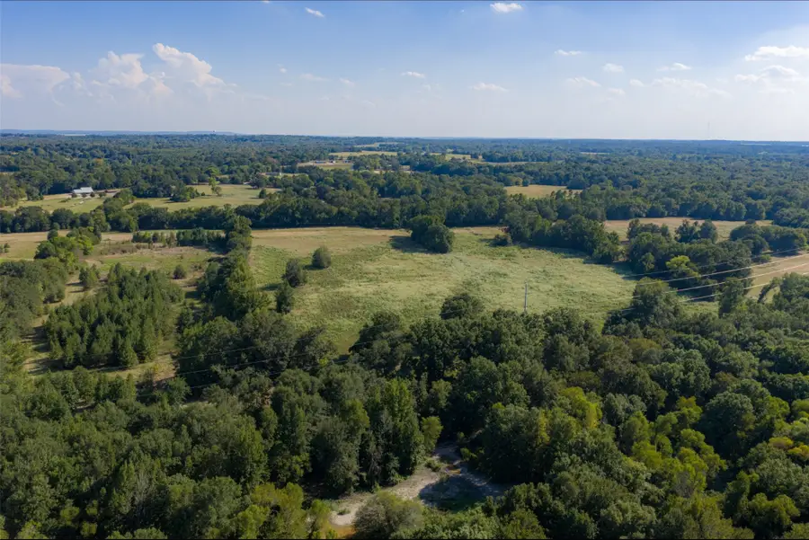 0 Cr-3516, Brownsboro, TX 75756 - #3