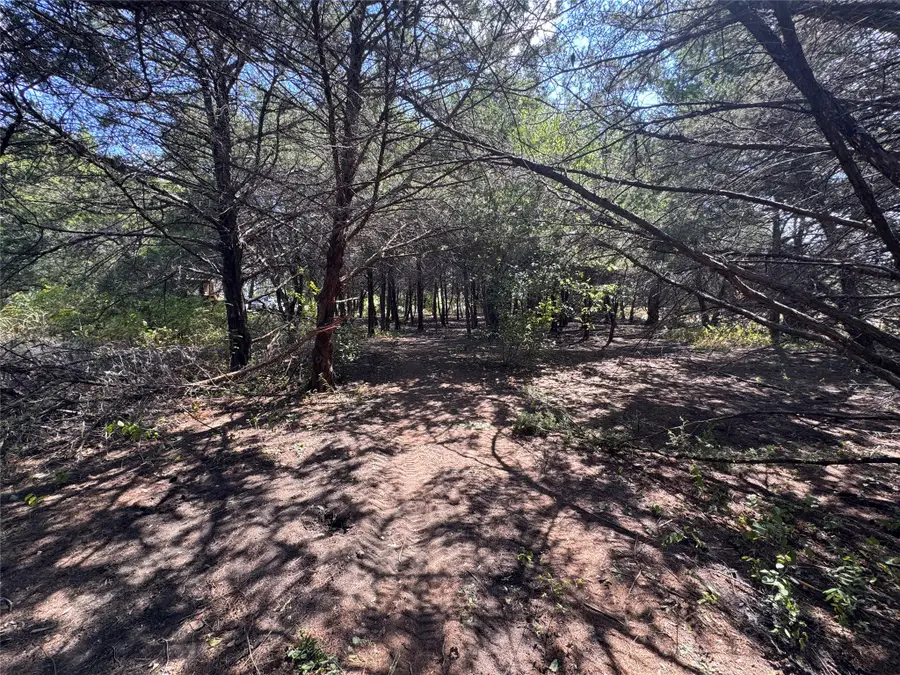 6395 Sh 160 Highway, Whitewright, TX 75491 - #3