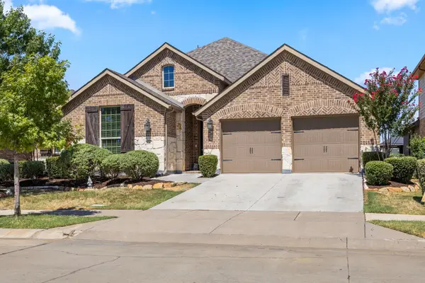 9901 Trinity Drive, Little Elm, TX 75068
