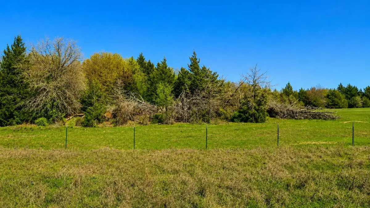Lot 11 Parker Dairy Road, Forestburg, TX 76239 - #1