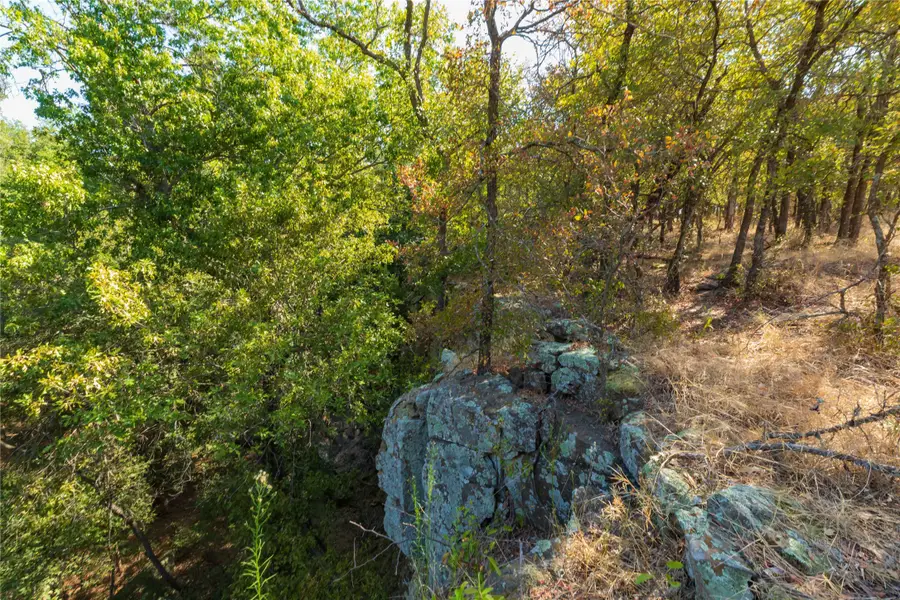 1282 Cr 461, Gorman, TX 76454 - #2