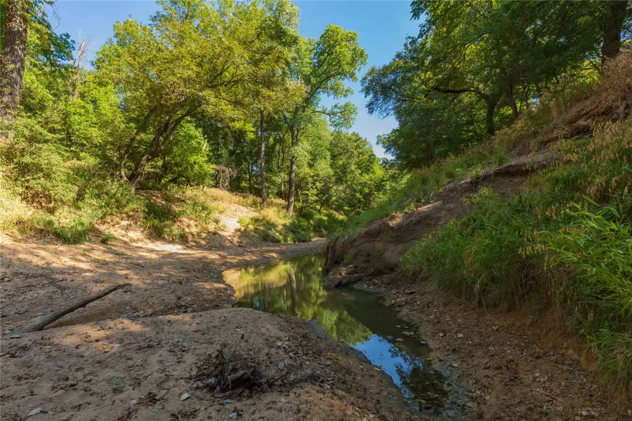 1282 Cr 461, Gorman, TX 76454 - #3