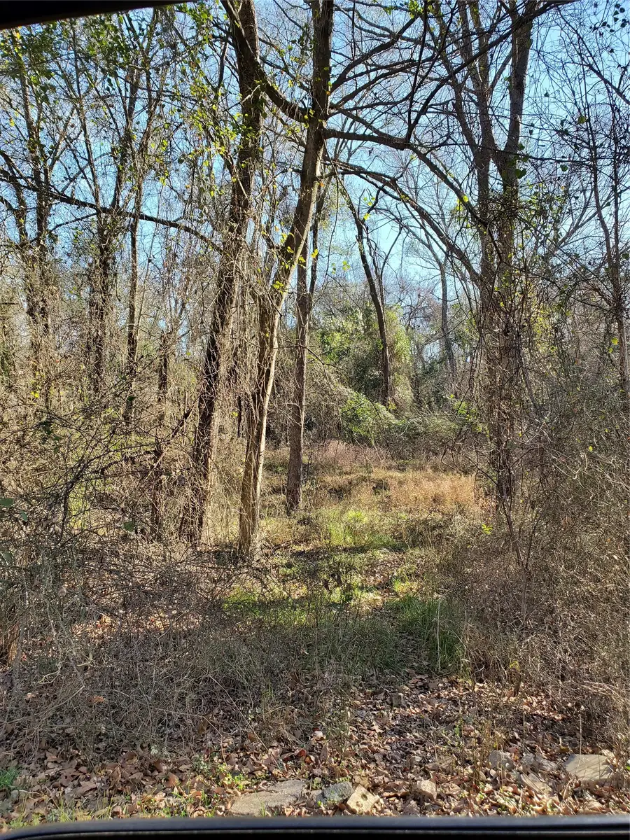 0 Wood Lane, Mabank, TX 75156 - #2