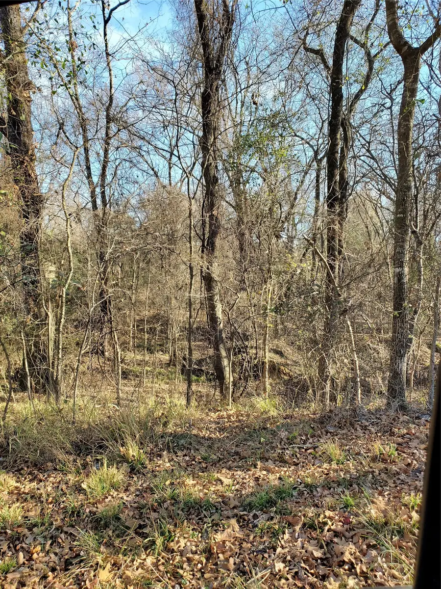 0 Wood Lane, Mabank, TX 75156 - #3