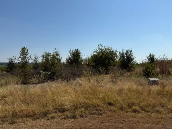 Lot 8 Heron Court, Graford, TX 76449