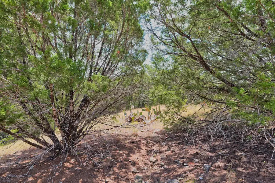 262 Grand Canyon Drive, Oglesby, TX 76561 - #2