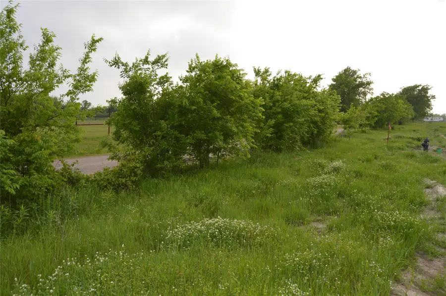 TBD Lot 4&5 Rs County Road 1520, Point, TX 75472 - #2
