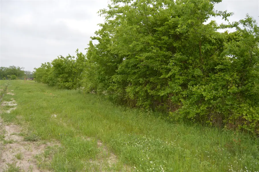 TBD Lot 4&5 Rs County Road 1520, Point, TX 75472 - #3