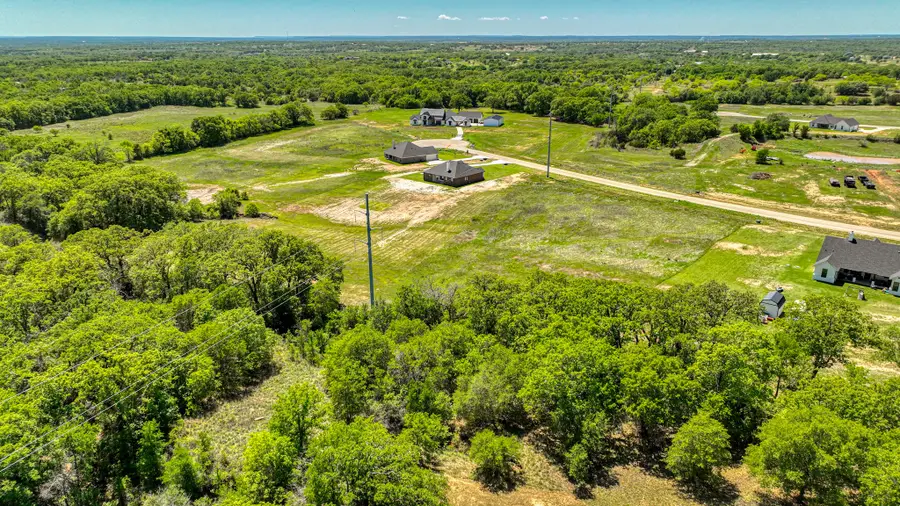 Lot 42 Leo Lane, Poolville, TX 76487 - #2