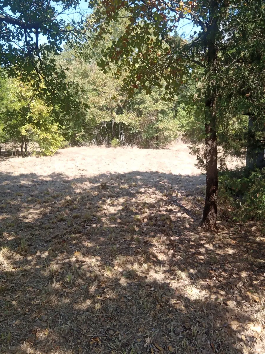1226 Hcr 1425, Covington, TX 76636 - #3