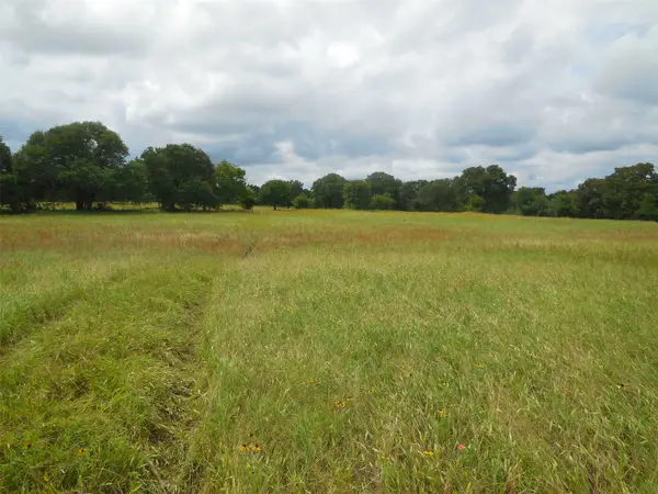 TBD County Road 488, Ranger, TX 76470