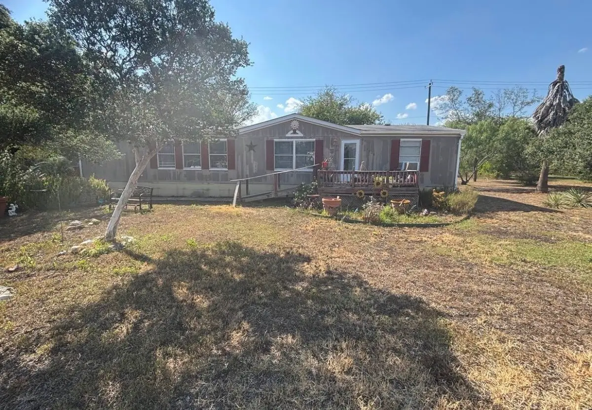 4203 County Road 382, Castroville Lacoste, TX 78253 - #1
