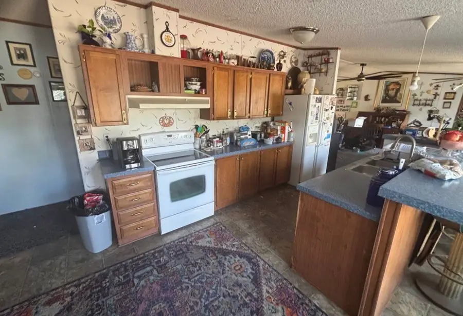 4203 County Road 382, Castroville Lacoste, TX 78253 - #3