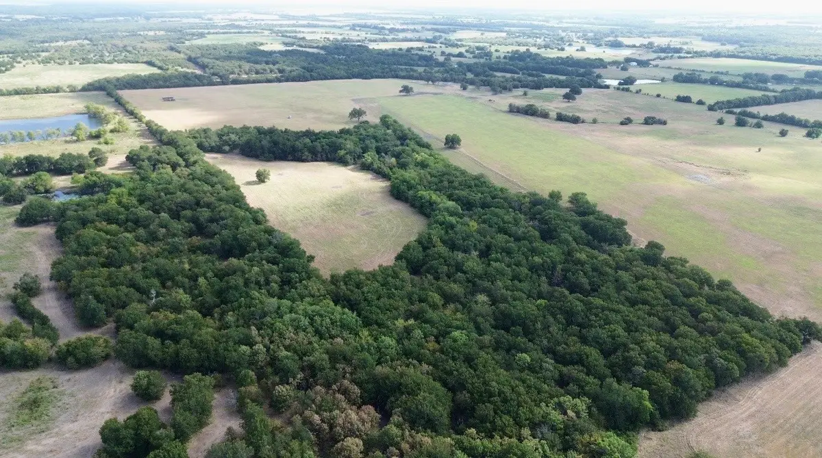 4587 County Road 1134, Leonard, TX 75452 - #1