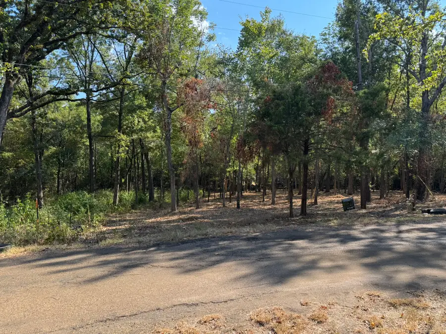 TBD Garner Drive, Mabank, TX 75156 - #2