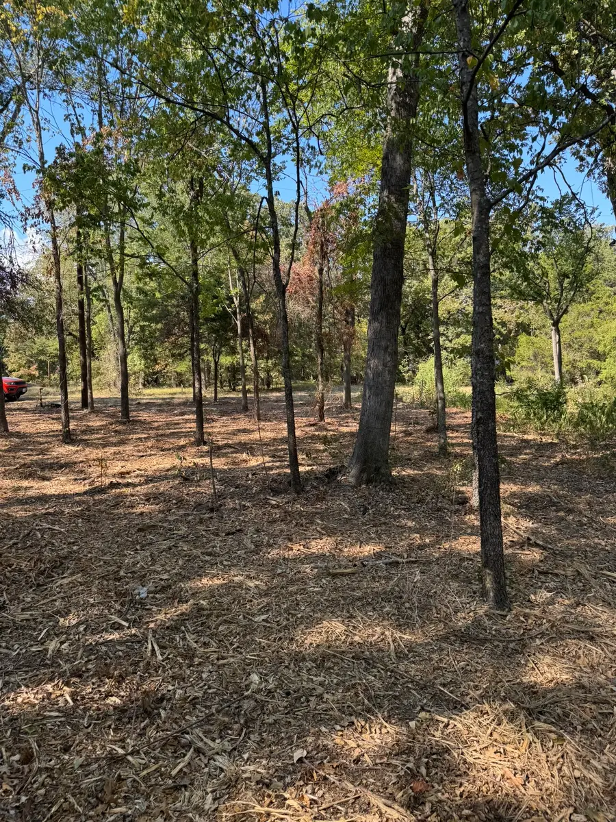 TBD Garner Drive, Mabank, TX 75156 - #3