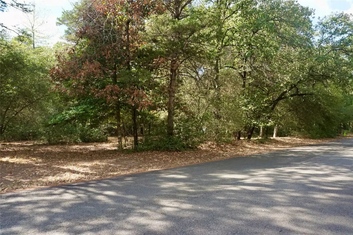 TBD Lot 146 (evening Shadows Trail) Trail, Holly Lake Ranch, TX 75765 - #1