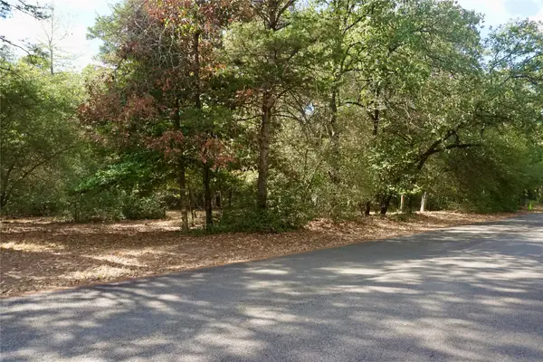 TBD Lot 146 (evening Shadows Trail) Trail, Holly Lake Ranch, TX 75765