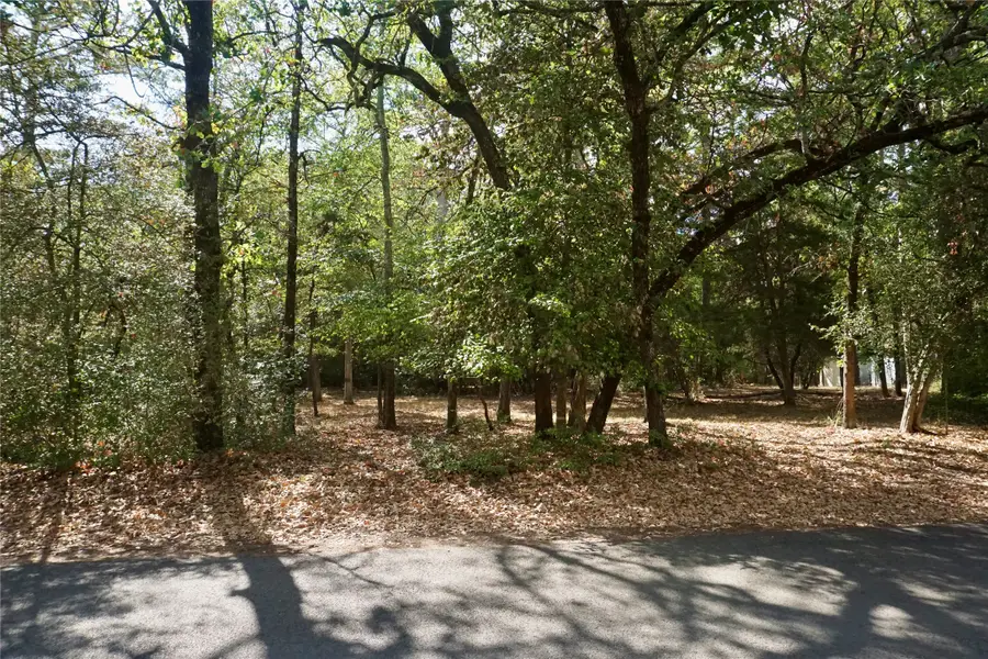 TBD Lot 146 (evening Shadows Trail) Trail, Holly Lake Ranch, TX 75765 - #2