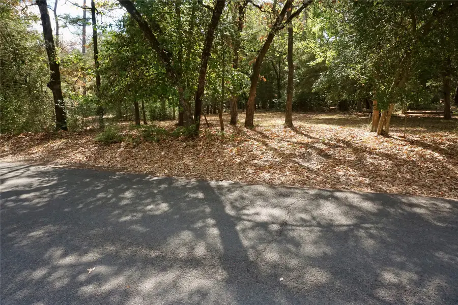 TBD Lot 146 (evening Shadows Trail) Trail, Holly Lake Ranch, TX 75765 - #3