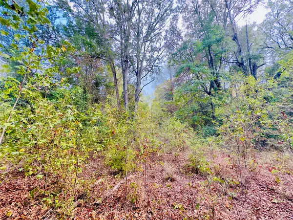 0000 Apple Tree Road, Gilmer, TX 75644