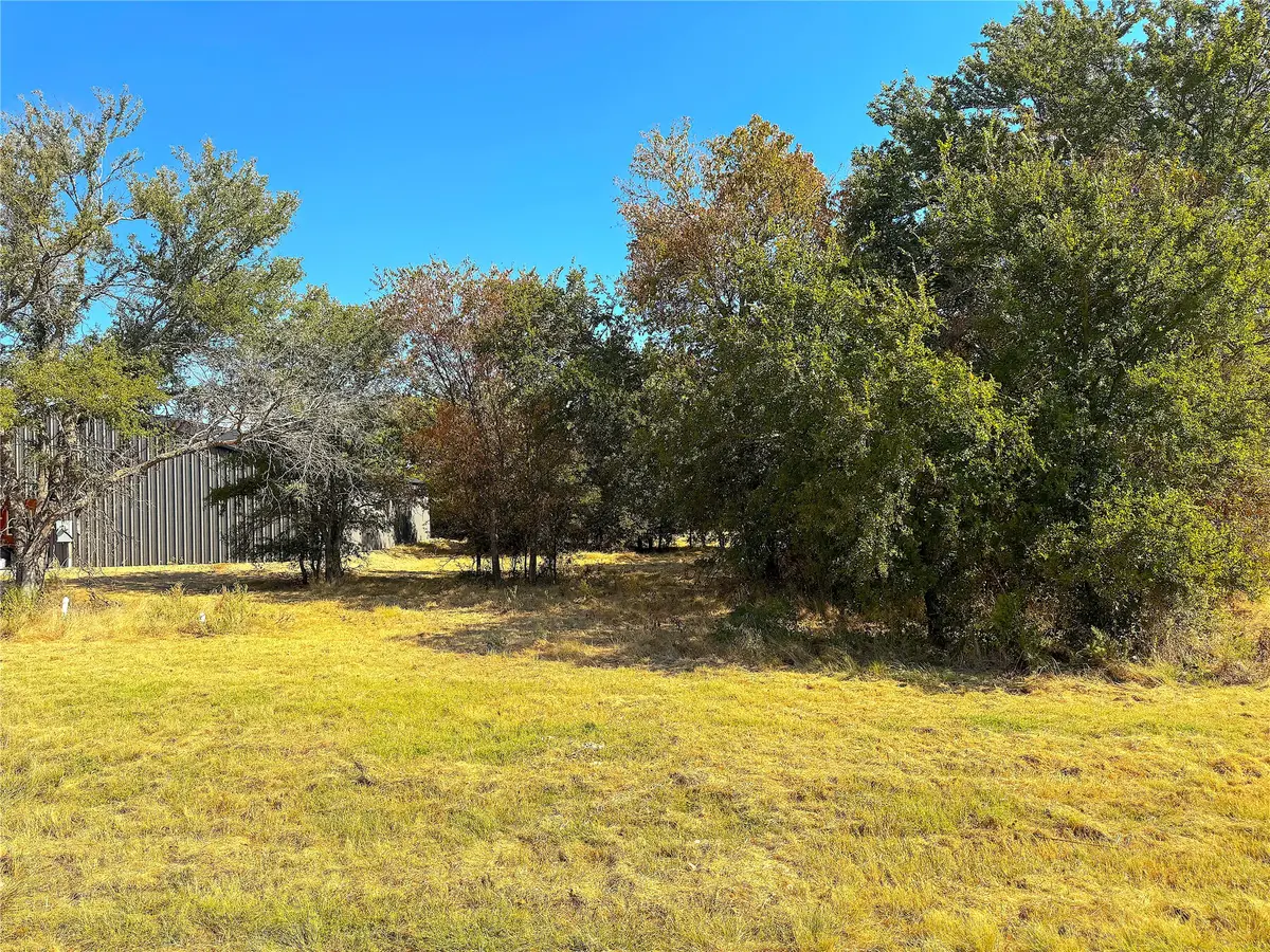 438 Oak View Lane, Jacksboro, TX 76458 - #1