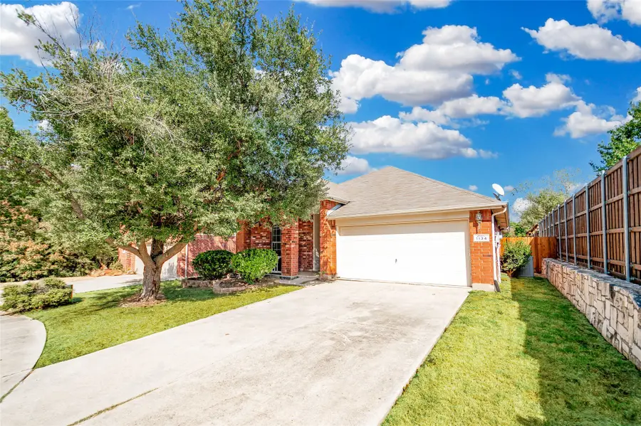 1134 Shearwater Avenue, Aubrey, TX 76227 - #2