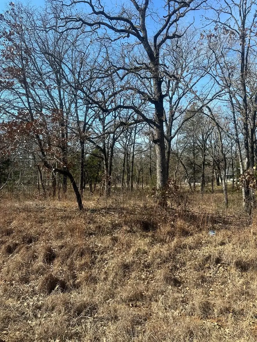 6149 Indian Harbor Drive, Mabank, TX 75156 - #3
