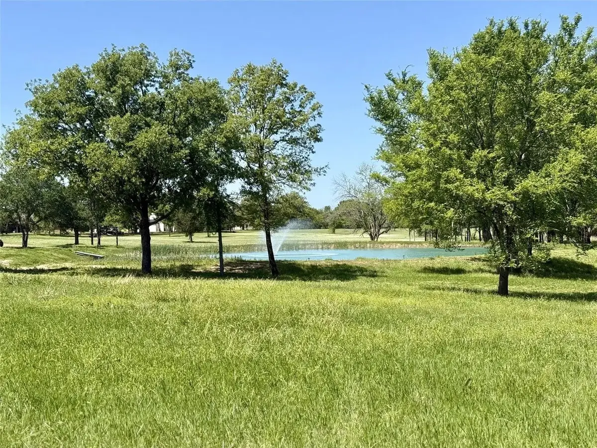 1099 Hidden Oaks Drive, Wills Point, TX 75169 - #1