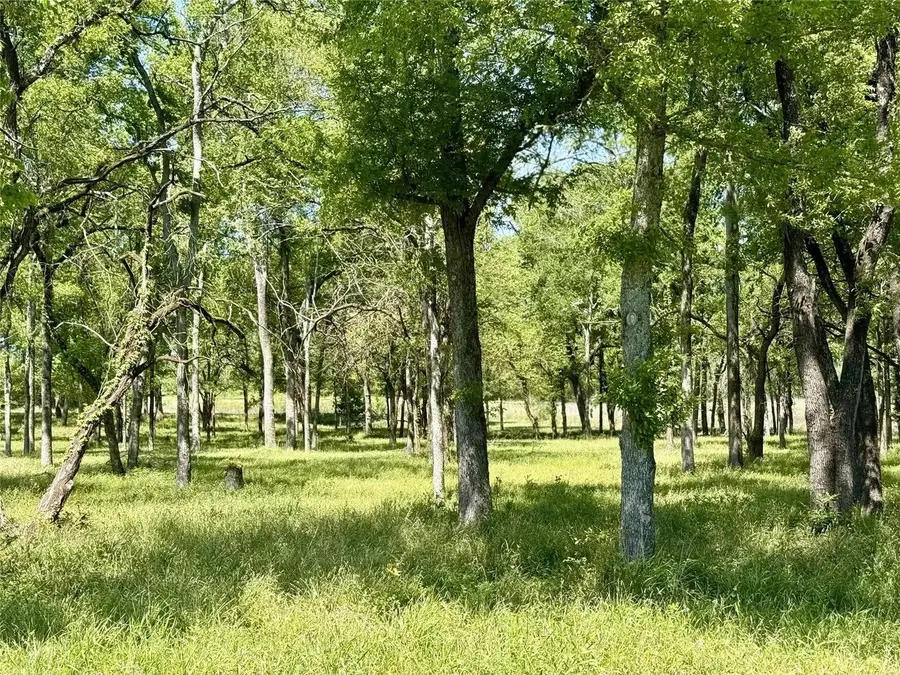 1099 Hidden Oaks Drive, Wills Point, TX 75169 - #3