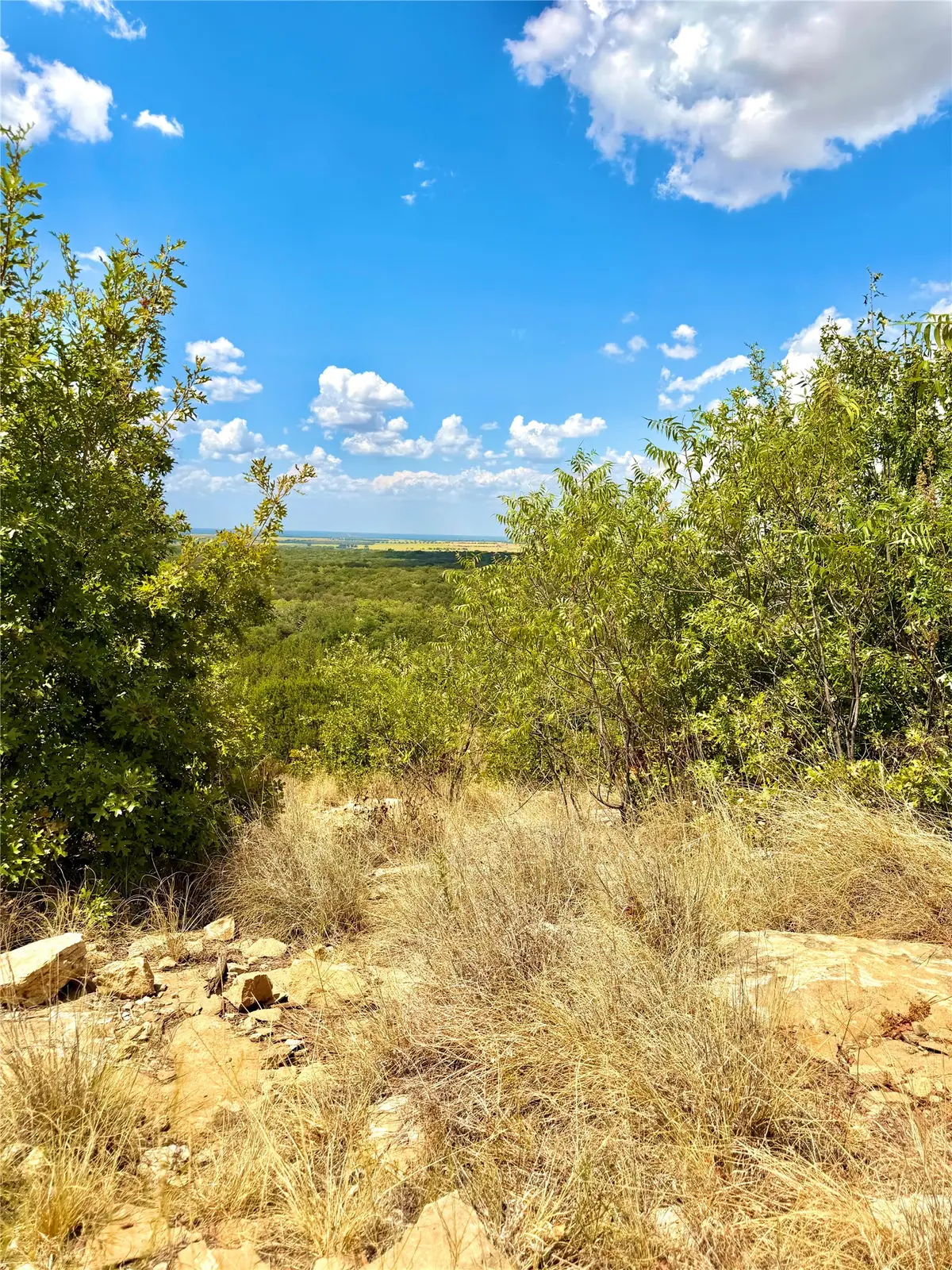 TBD Tract 7 Pecan Shell Rd, Desdemona, TX 76445 - #1
