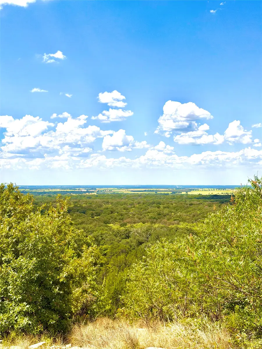 TBD Tract 7 Pecan Shell Rd, Desdemona, TX 76445 - #2