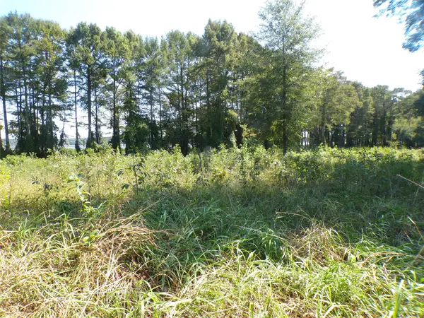 0 Collier Trail, Lewisville, AR 71845