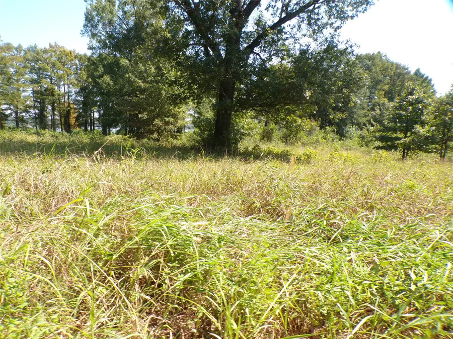 0 Collier Trail, Lewisville, AR 71845 - #3