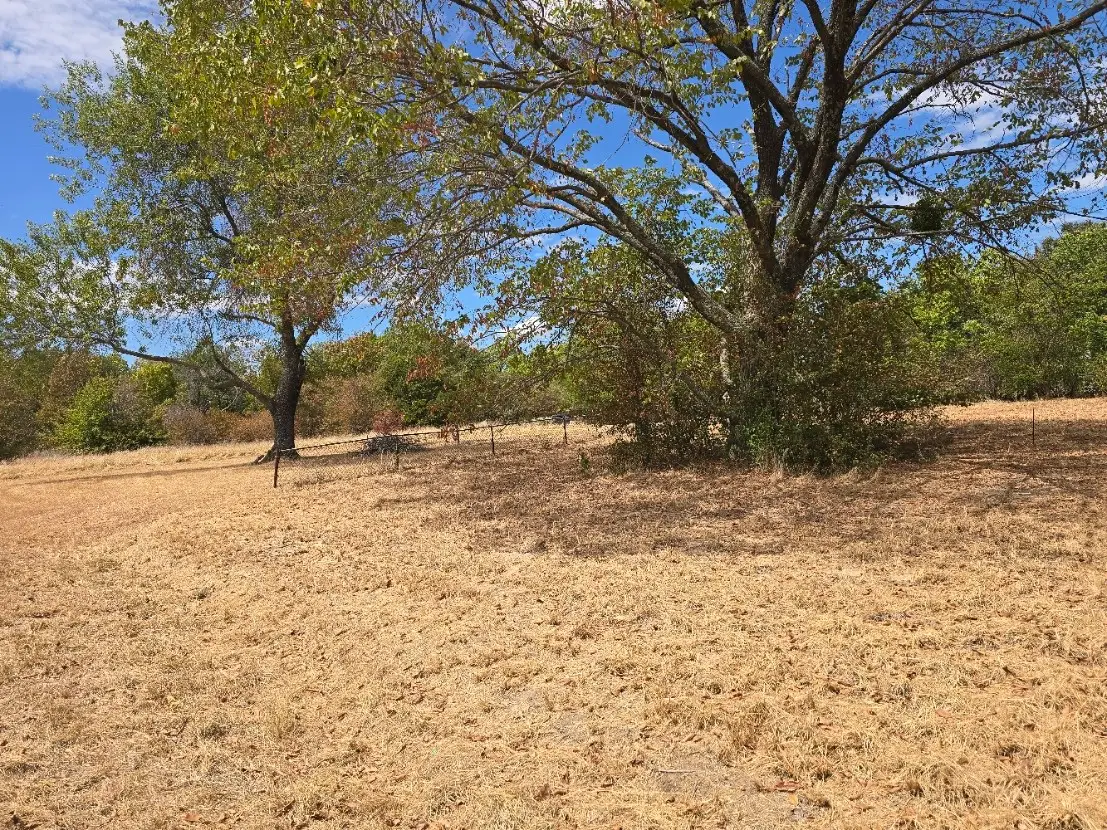 Lot 344 Meadow Heath, Gun Barrel City, TX 75156 - #1