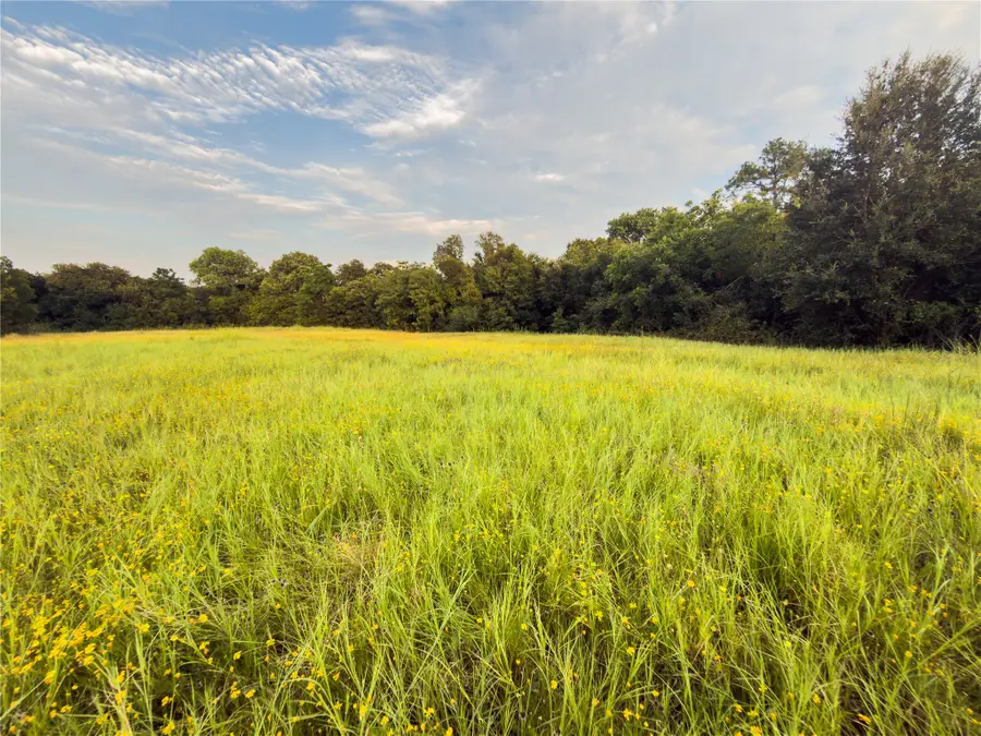 Lot 7 Wilson Road, Bellmead, TX 76705 - #3