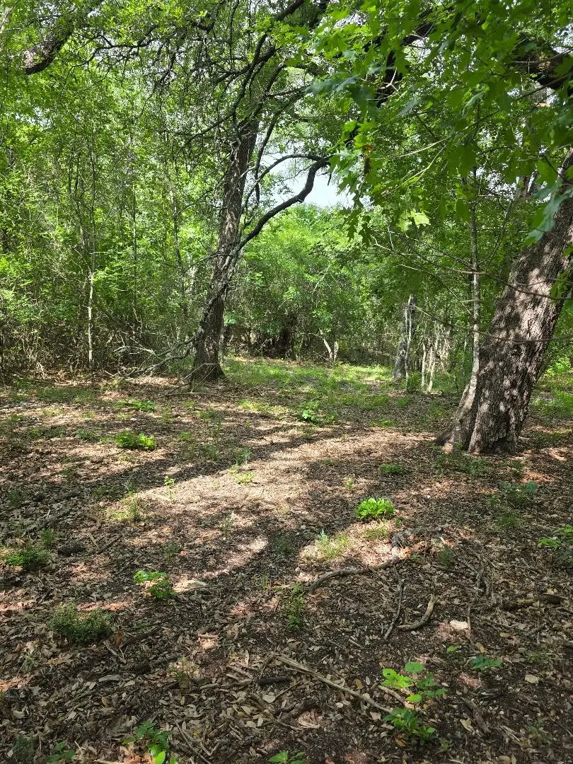 8415 Hollandbush Court, Cleburne, TX 76033 - #2