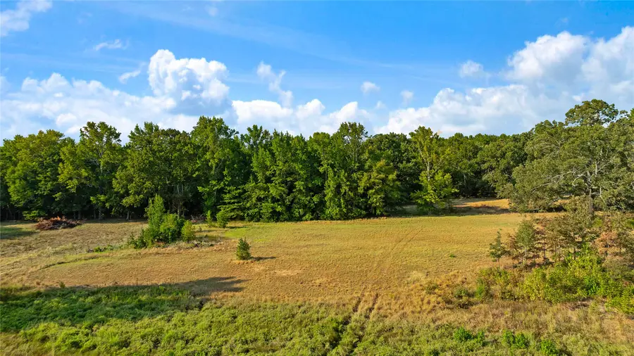 6517 County Road 45600, Blossom, TX 75416 - #3