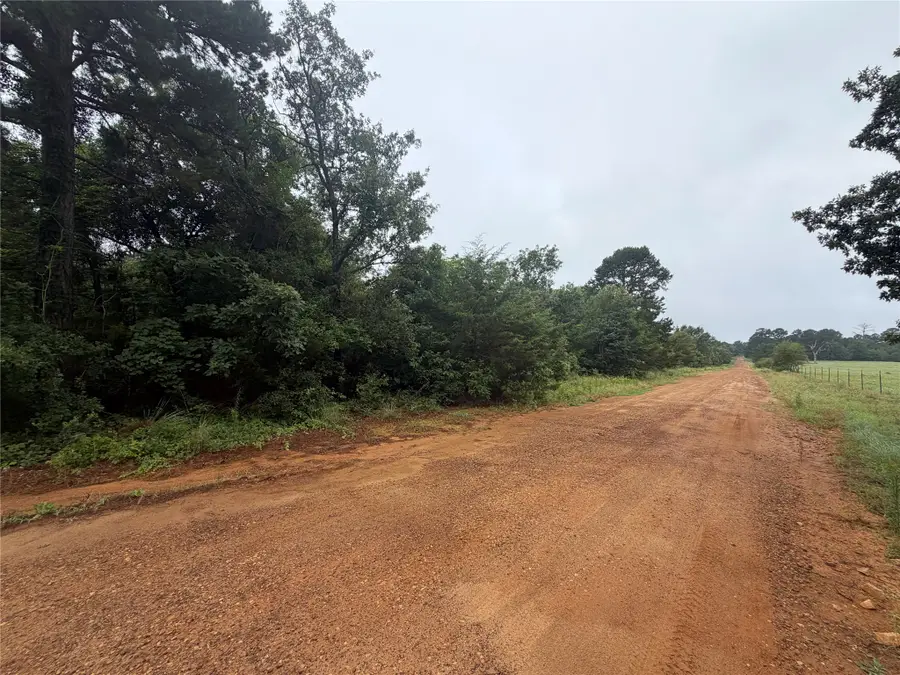 TBD County Road 3999, Winnsboro, TX 75494 - #2