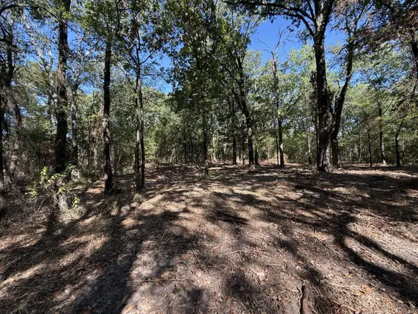Lot 2 Wood Creek Drive, Lone Oak, TX 75453