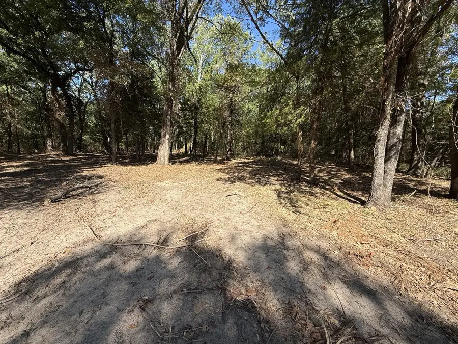 Lot 2 Wood Creek Drive, Lone Oak, TX 75453 - #3