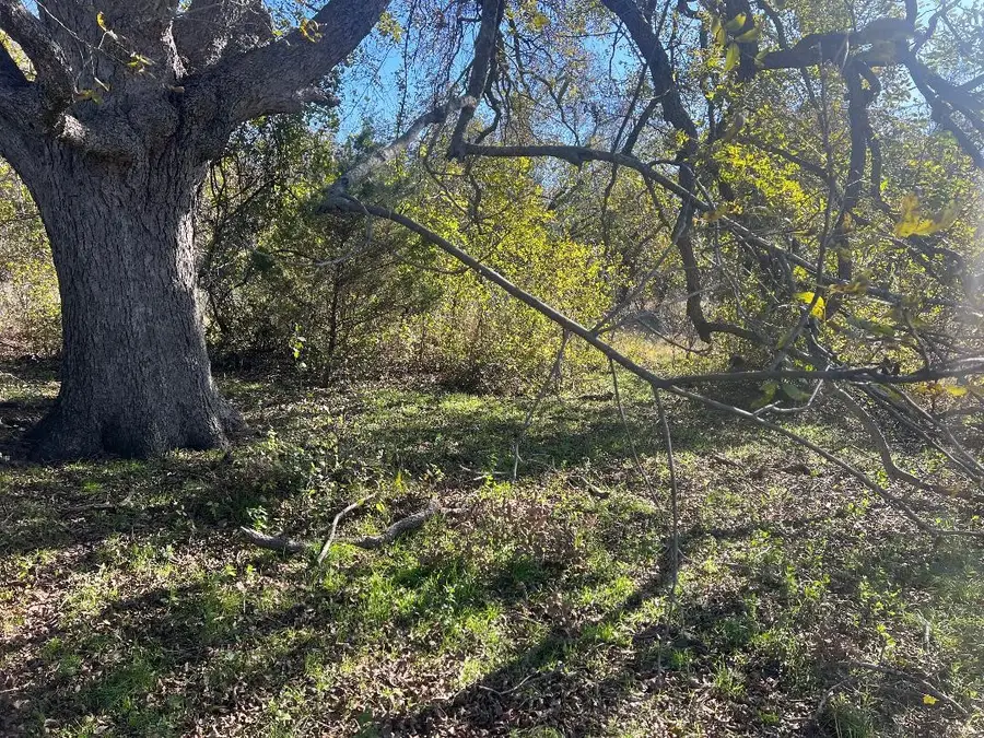 0000 Lcr 454, Groesbeck, TX 76642 - #2