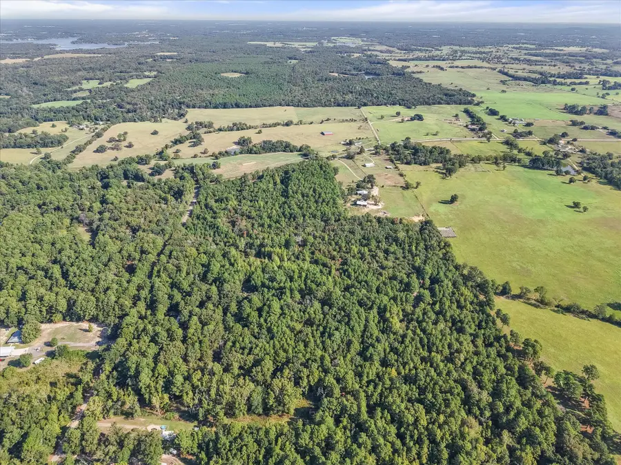 6723 County Road 4837, Larue, TX 75770 - #2