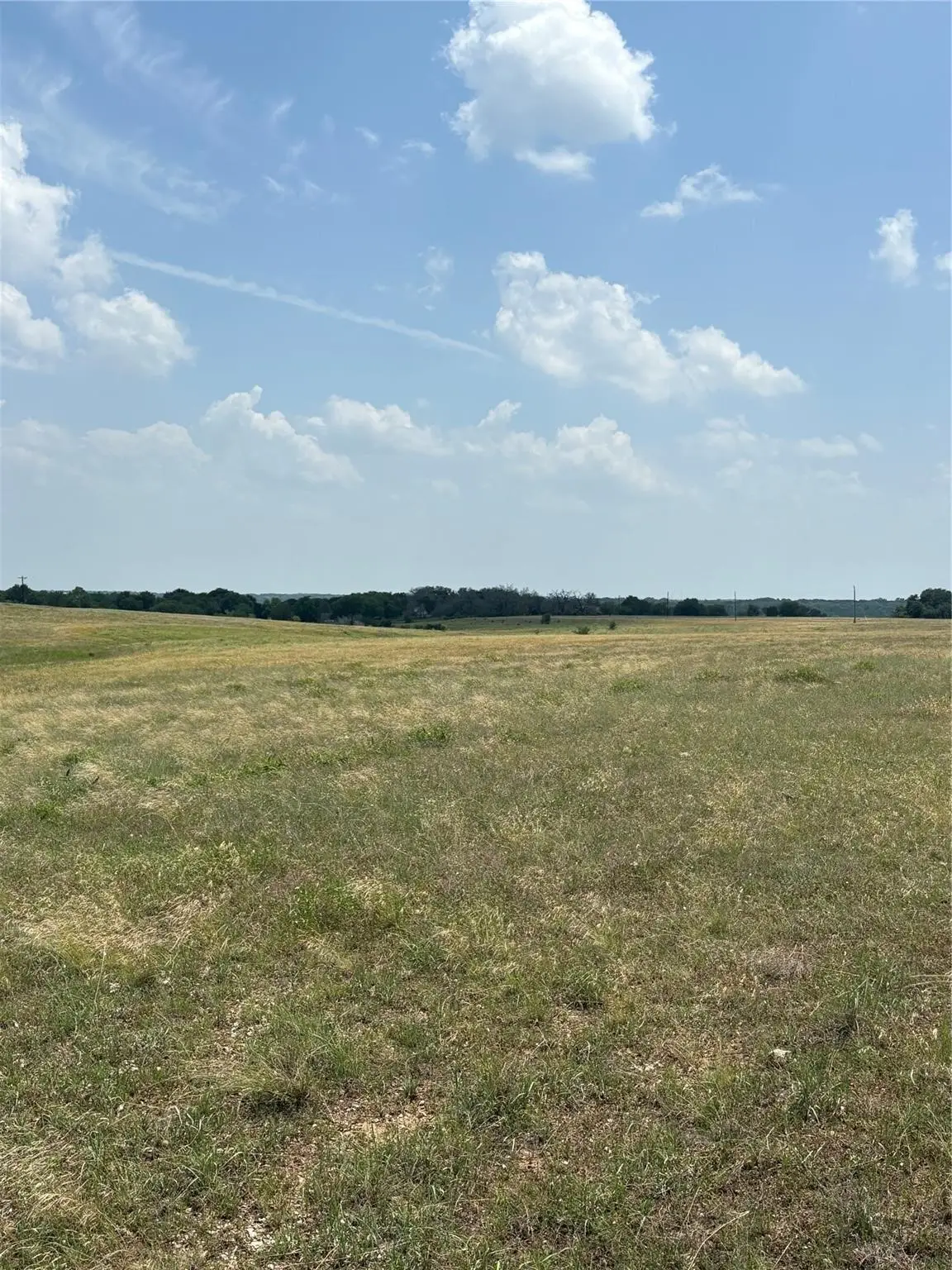 TBD LOT 4 Cr 3565, China Spring, TX 76633 - #1