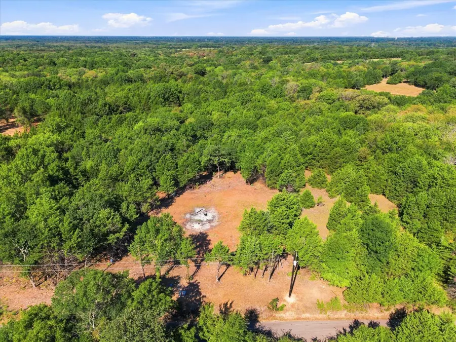 4428 Cr-3401, Lone Oak, TX 75453 - #2