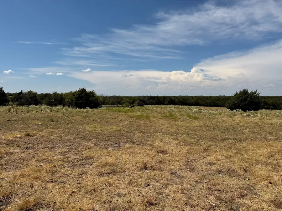 TBD Lone Tree Street, Nevada, TX 75173 - #2