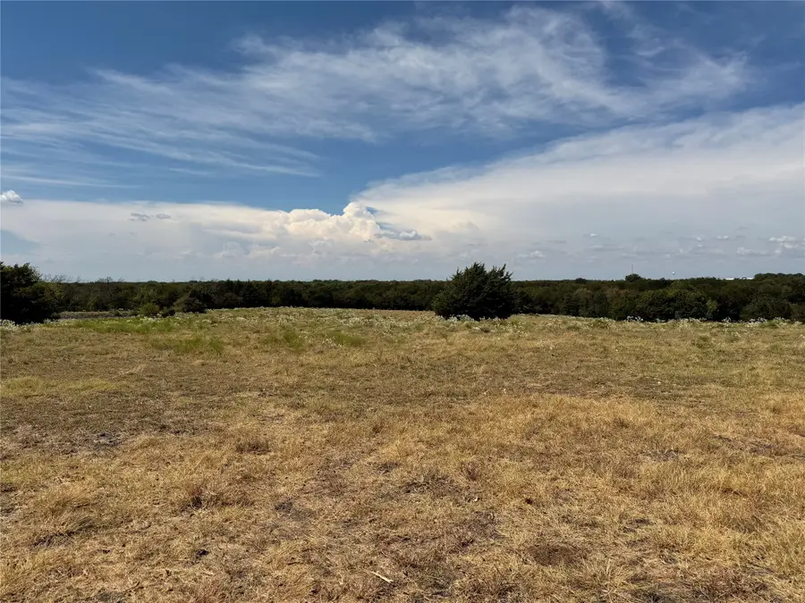 TBD Lone Tree Street, Nevada, TX 75173 - #3
