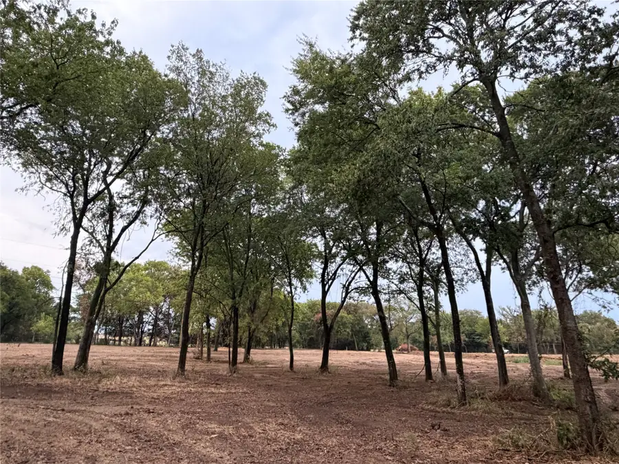 4772 County Road 707, Alvarado, TX 76009 - #3
