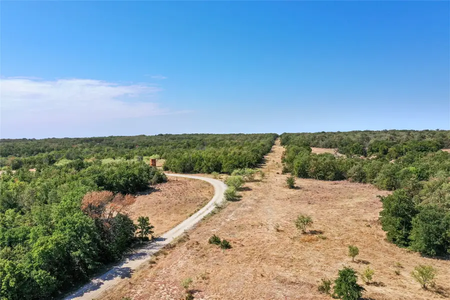 TBD Two Bush Road Road, Perrin, TX 76486 - #3