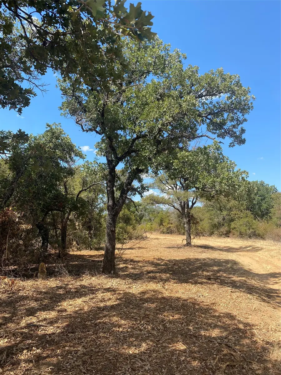 FM 2692 Hwy Highway, Santo, TX 76472 - #2